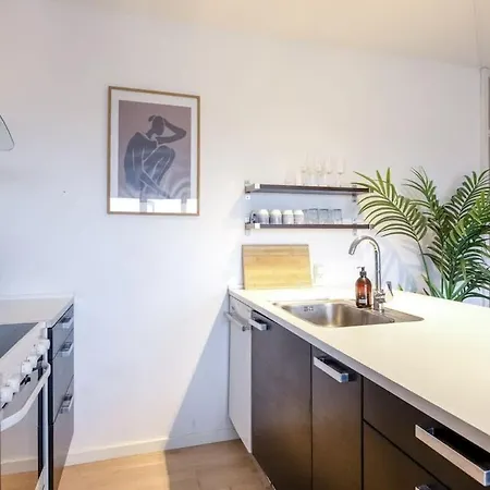 Luxe In Frederiksberg Close To Centrum